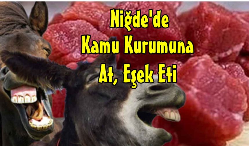 Yemeklere At Eşek Eti Satan Firma Niğde'deki Kamu Kurumundan İhale Almış
