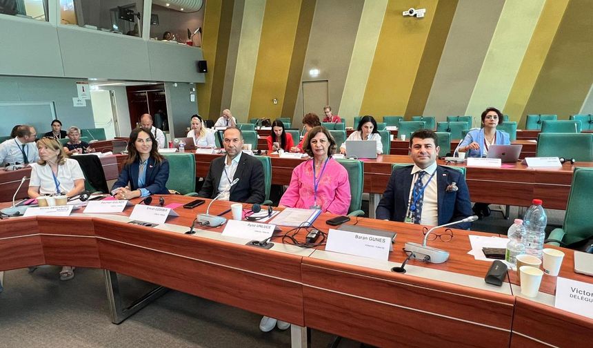 Başkan Emrah Özdemir, Avrupa Konseyi’nde Türkiye’yi Temsil Etti