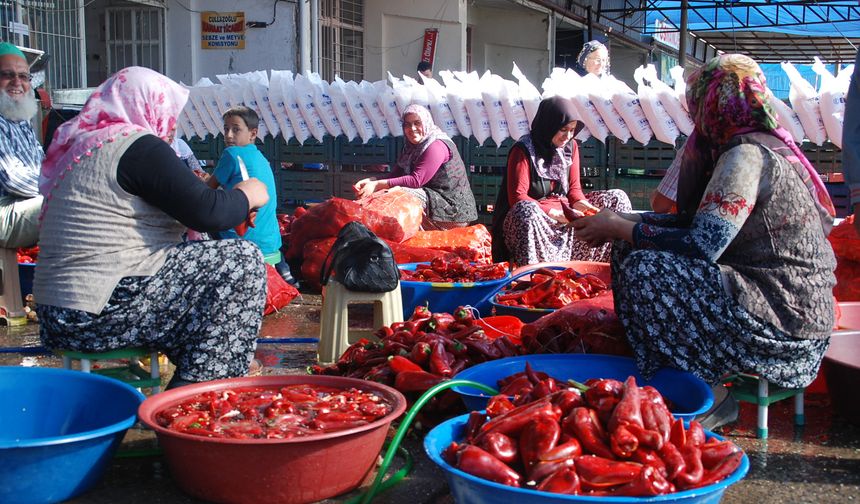 Niğde’de Ev Hanımlarını Salçalık Telaşı Sardı