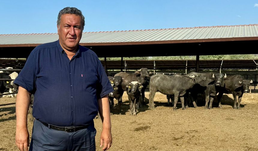 Gürer: “Manda, iklim değişikliğinin ilk kurbanlarından biri”