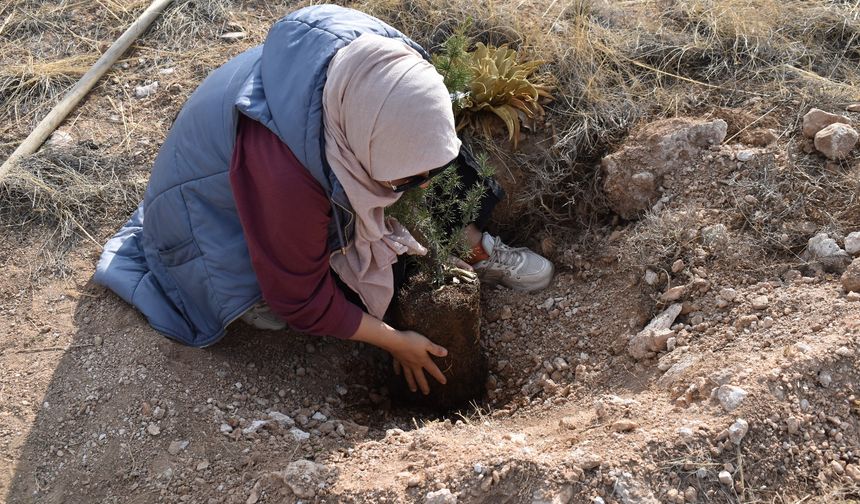 Niğde’de 5 Bin fidan toprakla buluştu