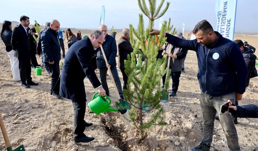 Nöhü’de “Bal Ormanı” Kuruldu