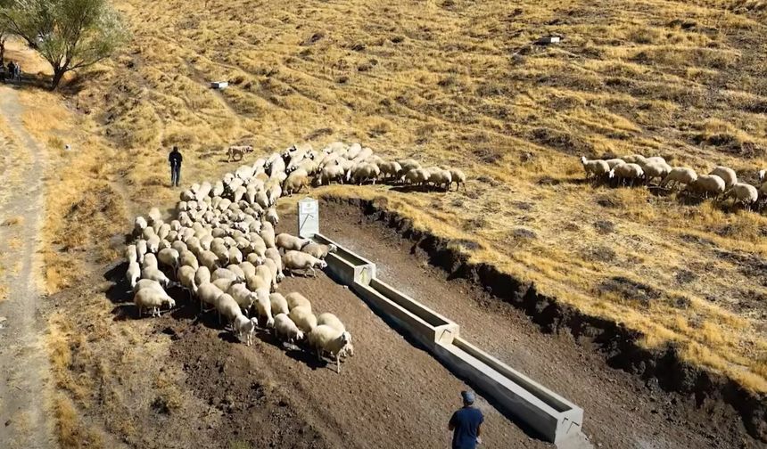 Beyağıl Köyü Meralarında Hayvan İçme Suyu Alanı oluşturuldu