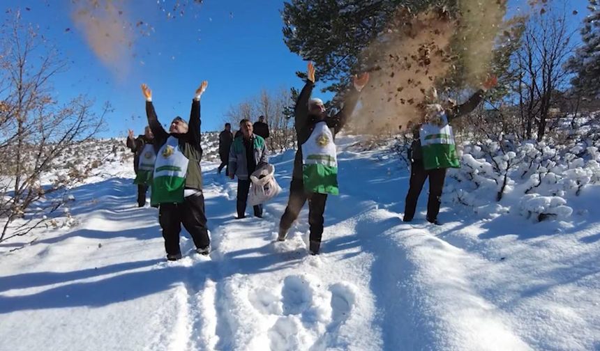 Yeniyıldız Köyü’nde 150 Hektarda 5 Bin Kilogram Sedir Tohumu Toprakla Buluştu