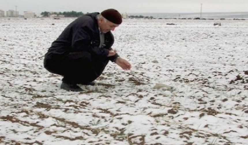 Niğde’de Kar Yağışı Çiftçinin Yüzünü Güldürdü