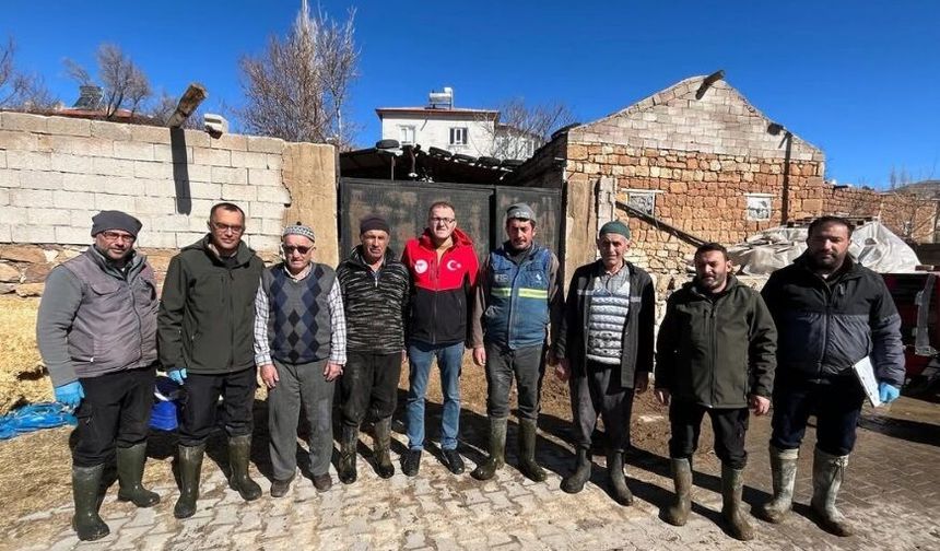 Halaç Köyü’nde Şap Aşılama Çalışmaları Yerinde İncelendi