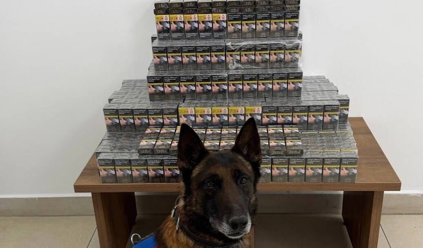 Niğde’de Yolcu Otobüsünde 800 Paket Kaçak Sigara Ele Geçirildi