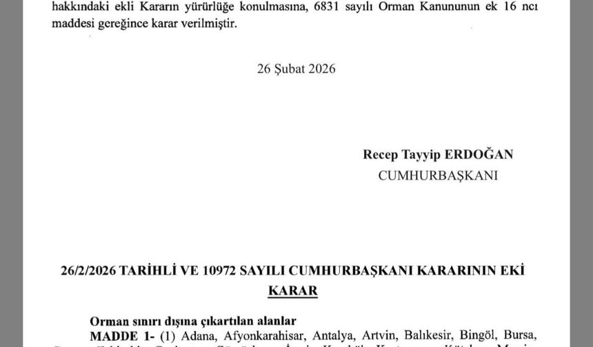 “Savaşsız Yıkım: 21 İlde Ormanları Sınır Dışına Çıkaran Karar Geleceğimize Darbedir”