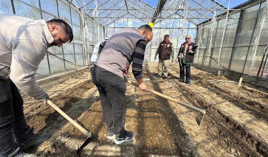 Patates Enstitüsü Yeni Sezona Hazırlanıyor