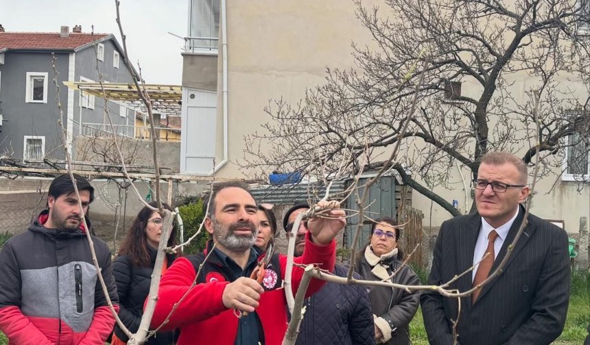 Bor’da Budama Kursu Devam Ediyor