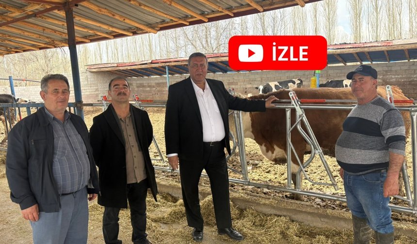Gürer: “Artan Maliyetler Süt Üreticisini Bitiriyor”