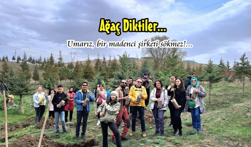 Niğde’de Çam Fidanlarını Toprakla Buluşturdular