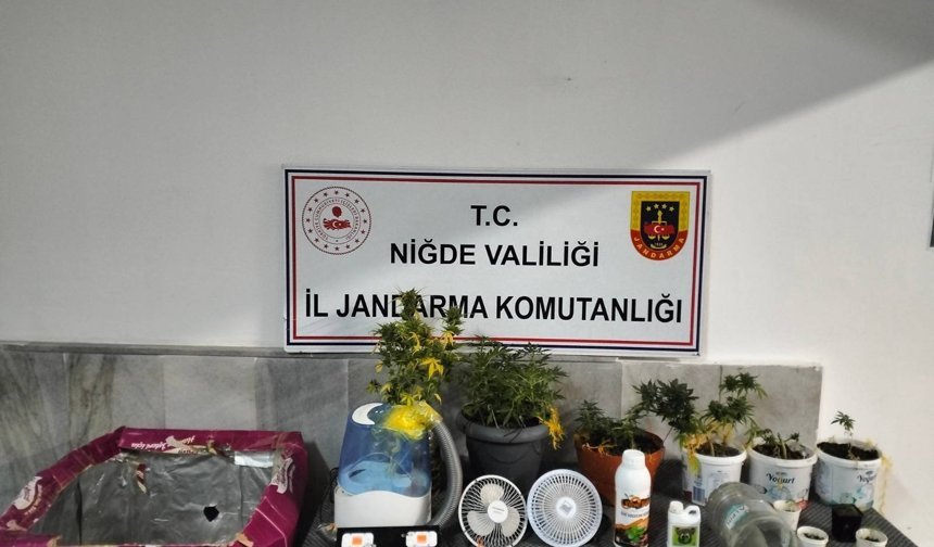 Ulukışla’da Narkotik Operasyonu