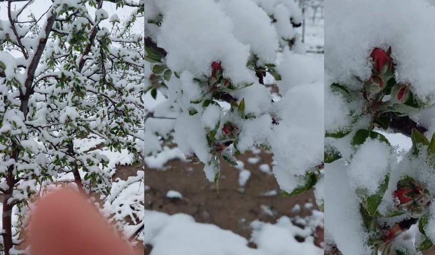 Niğde’nin Yüksek Kesimlerinde Kar Yağışı Etkili Oldu