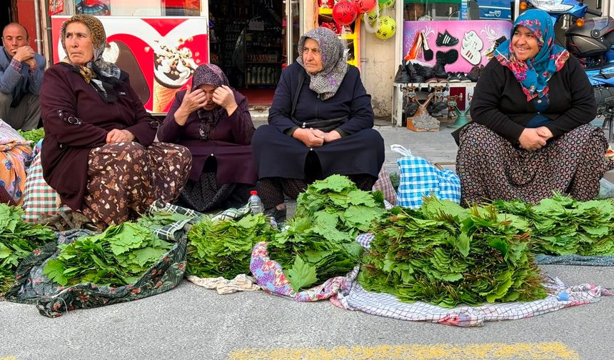 Sezonun İlk Asma Yaprakları Tezgâhlarda Yerini Aldı