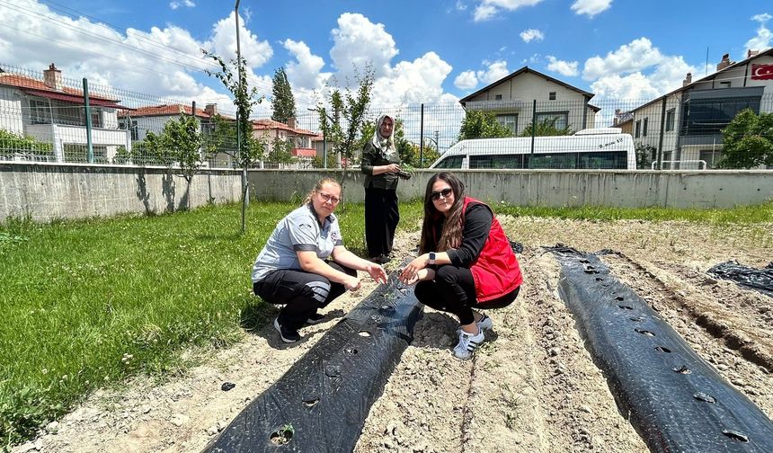 Bor Gençlik Merkezi Hobi Bahçesi’nde Gençler Doğayla Buluştu