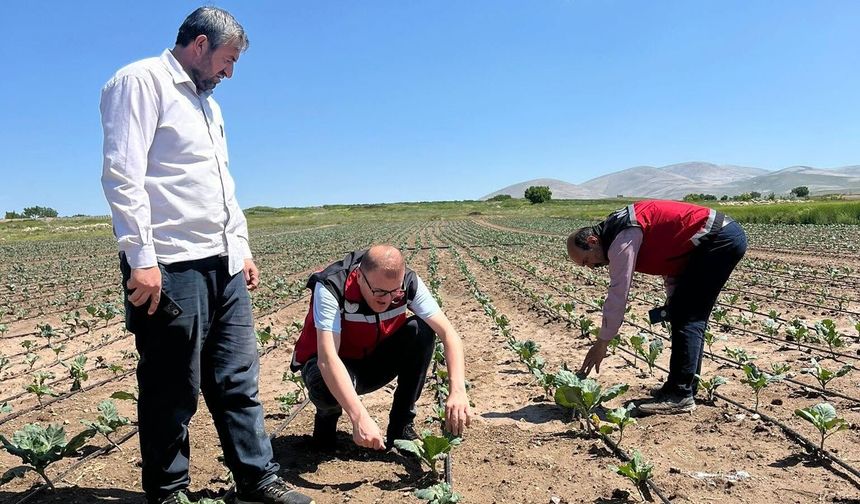 Bor’da Dolu ve Şiddetli Yağış Sonrası Tarım Arazilerinde İnceleme