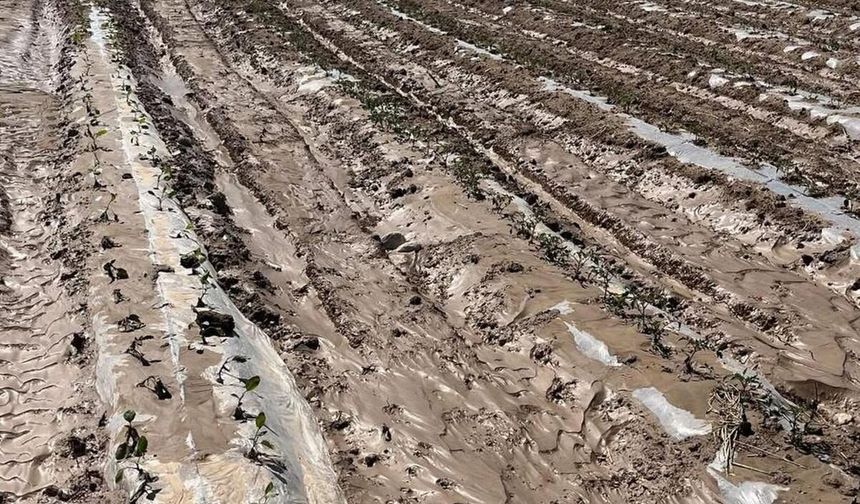 Niğde’de Sel ve Dolu Afeti: 11 Bin Dekarlık Tarım Alanı Zarar Gördü
