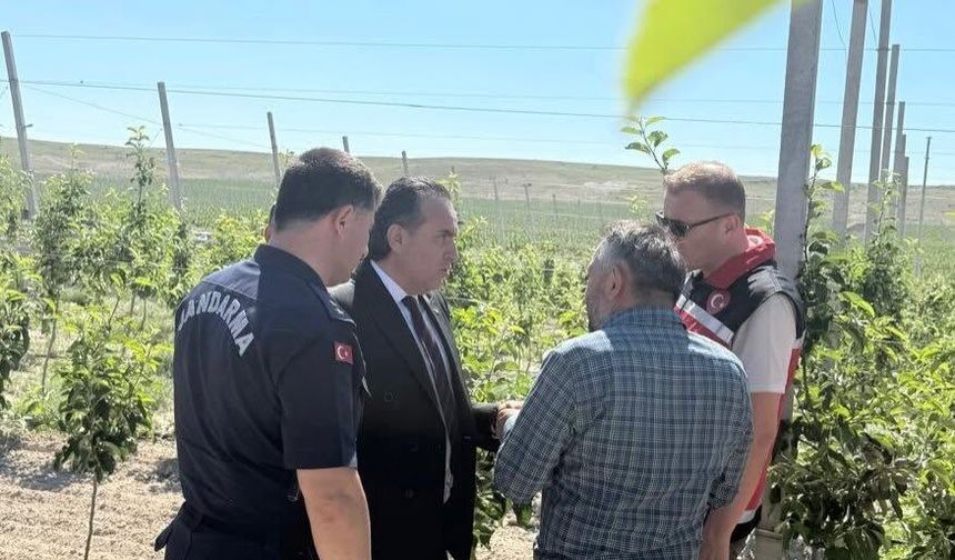Bor’da yeni tarımsal yatırıma ziyaret