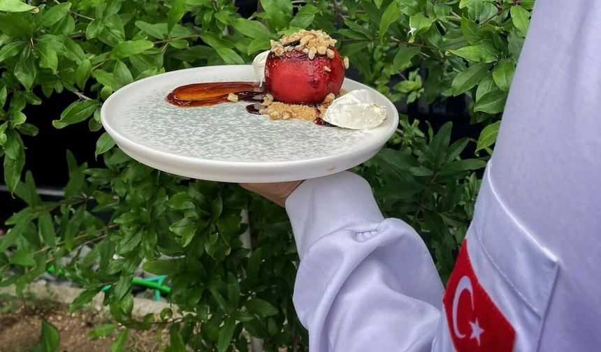 Niğde Tanıtım Günlerinin Ardından