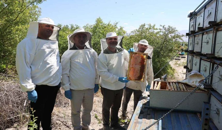 Üniversitede 200’ün Üzerinde Kovandan 3 Ton Bal Hasadı