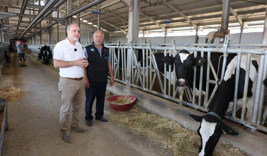 NÖHÜ’de Hayvancılıkta Yeni Hedef: 150 Büyükbaş