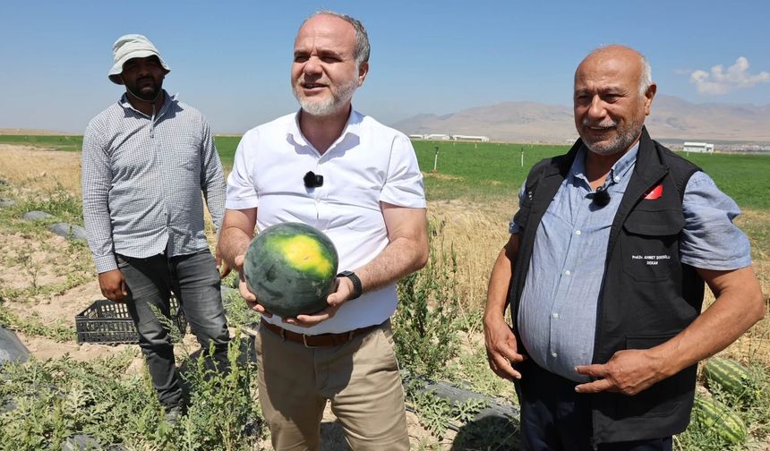 Ömer Halisdemir Üniversitesinde 51 Bin Fidenin Hasadı Yapıldı