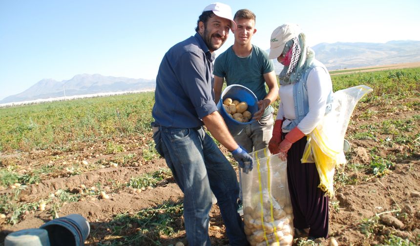 Patates Fiyatları Üreticinin Yüzünü Güldürüyor