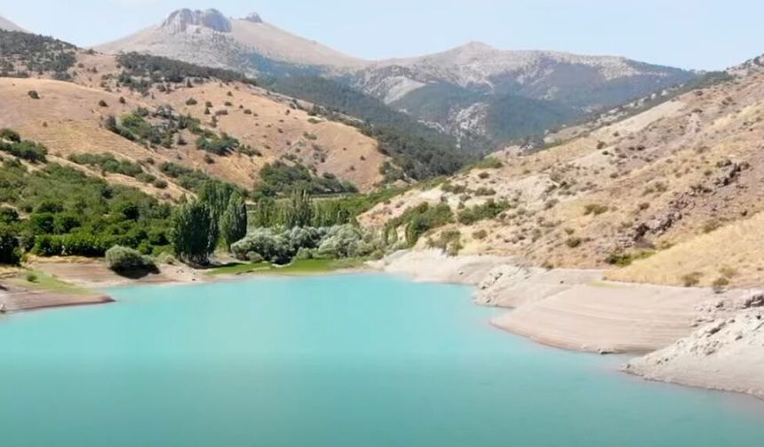 Su Tarlaya Ulaştı, Emirler’de Kiraz Verimi Arttı