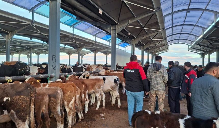 Hayvan Pazarı’nda Günün İlk Saatlerinde Denetim