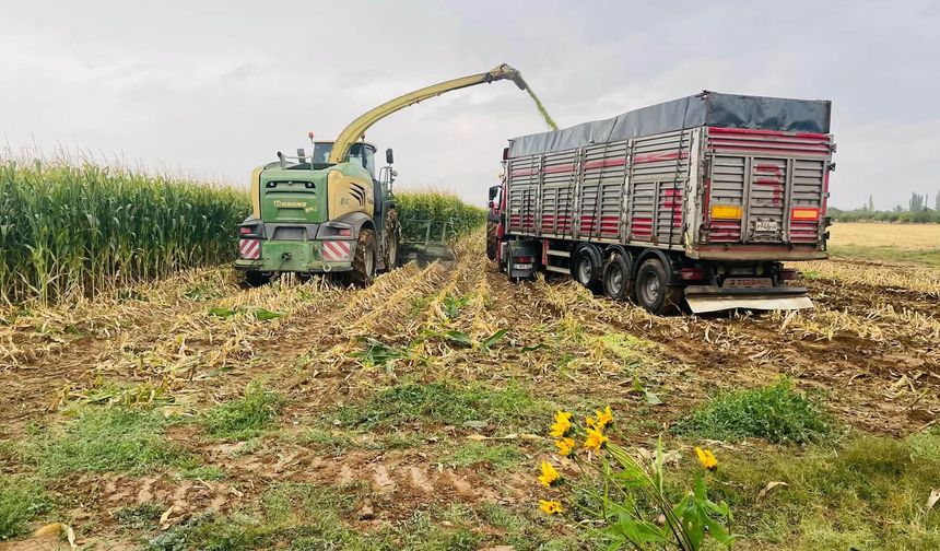 Niğde’de Silajlık Mısır Hasadı Tamamlandı