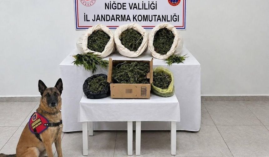 Niğde Fesleğen Köyü’nde Jandarma Operasyonu